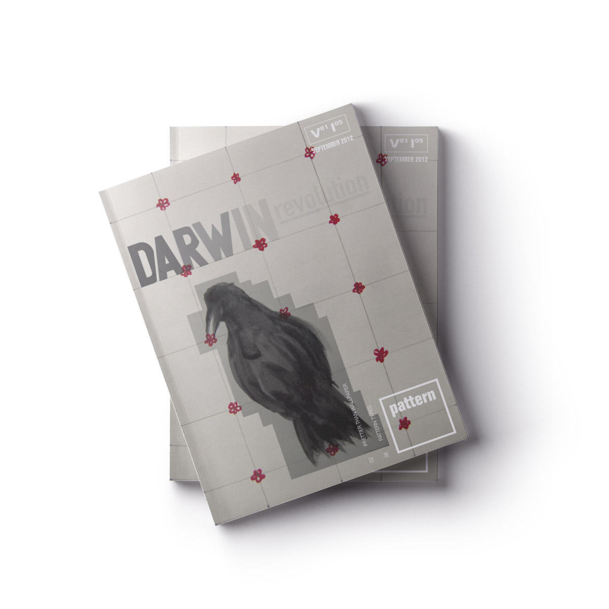 Darwin Revolution Patterns Cover